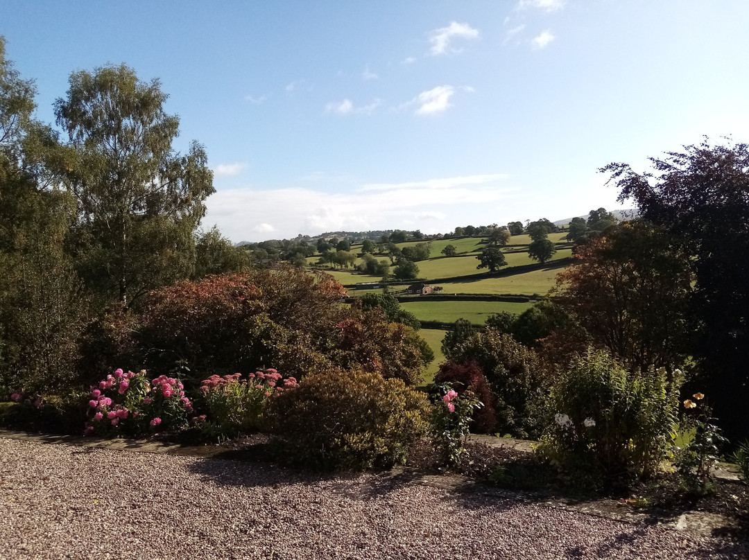 Tynllwyn Farm主图
