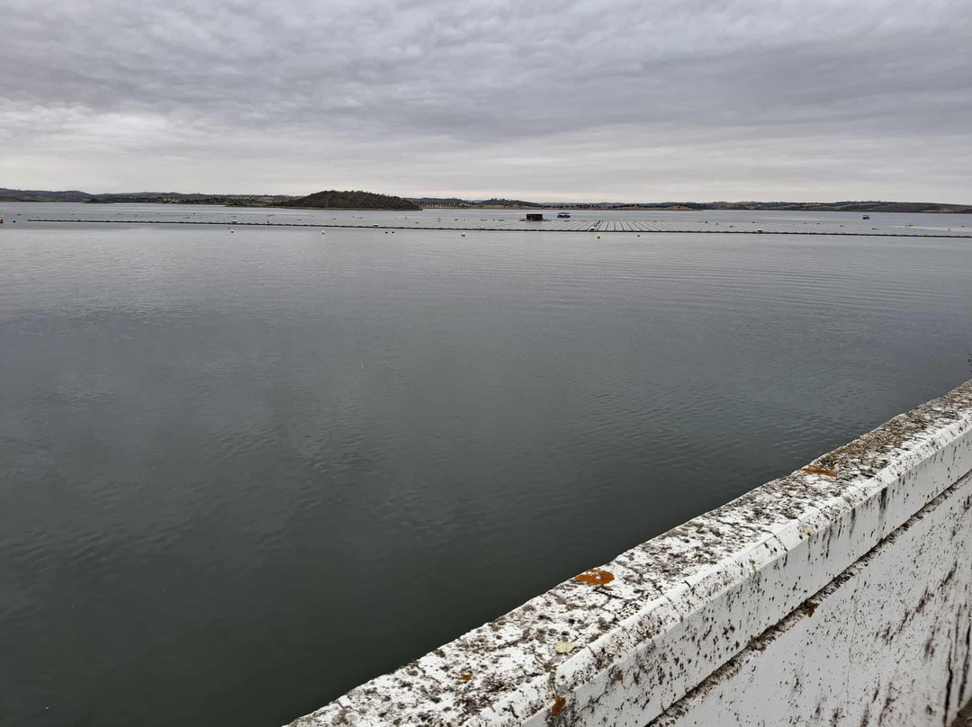 Alqueva Dam-Portel必去景点
