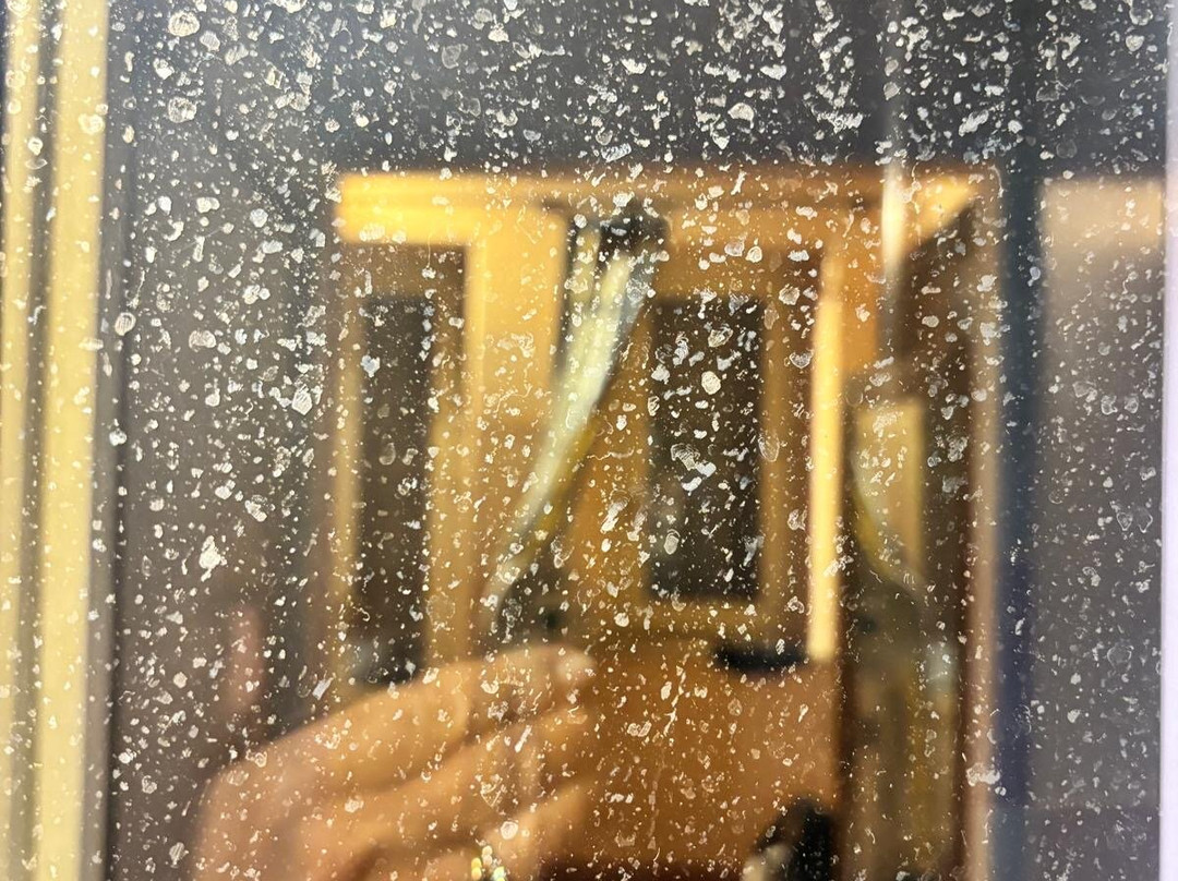 Palazzo Romani Adami主图