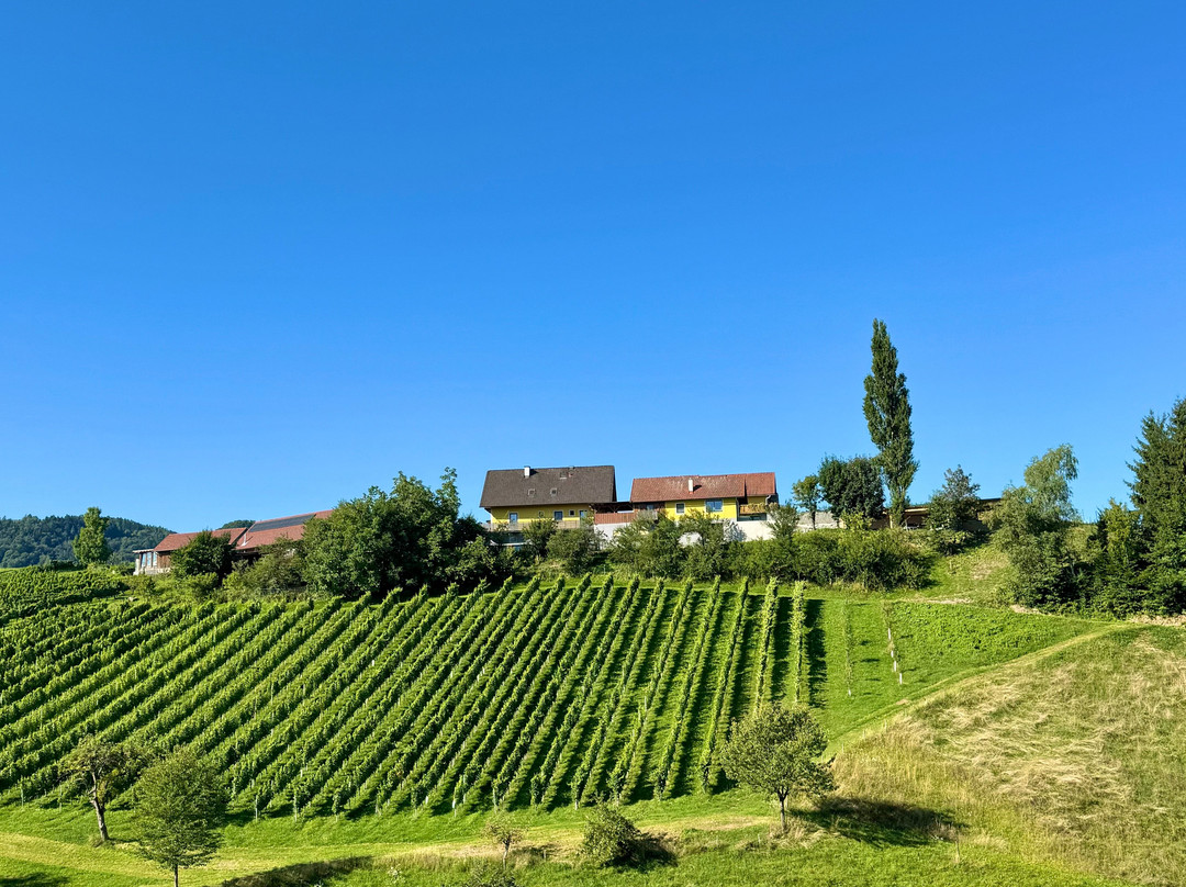 Landgut am Pößnitzberg主图