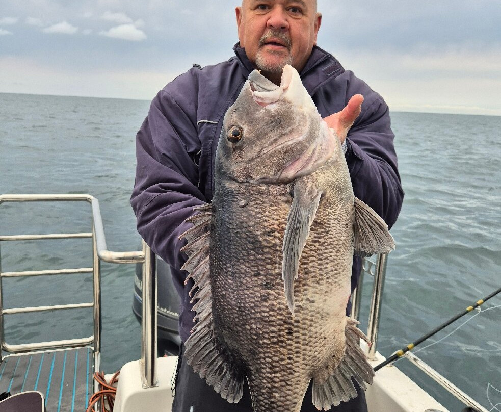 Delarey Charters-圣法兰西斯港必去景点