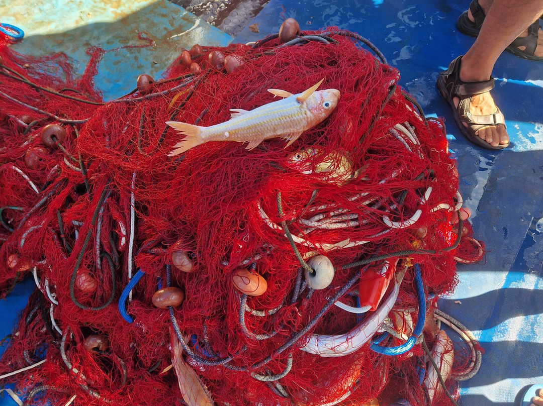 Pescaturismo m/p imbroglio-拉马达莱娜必去景点
