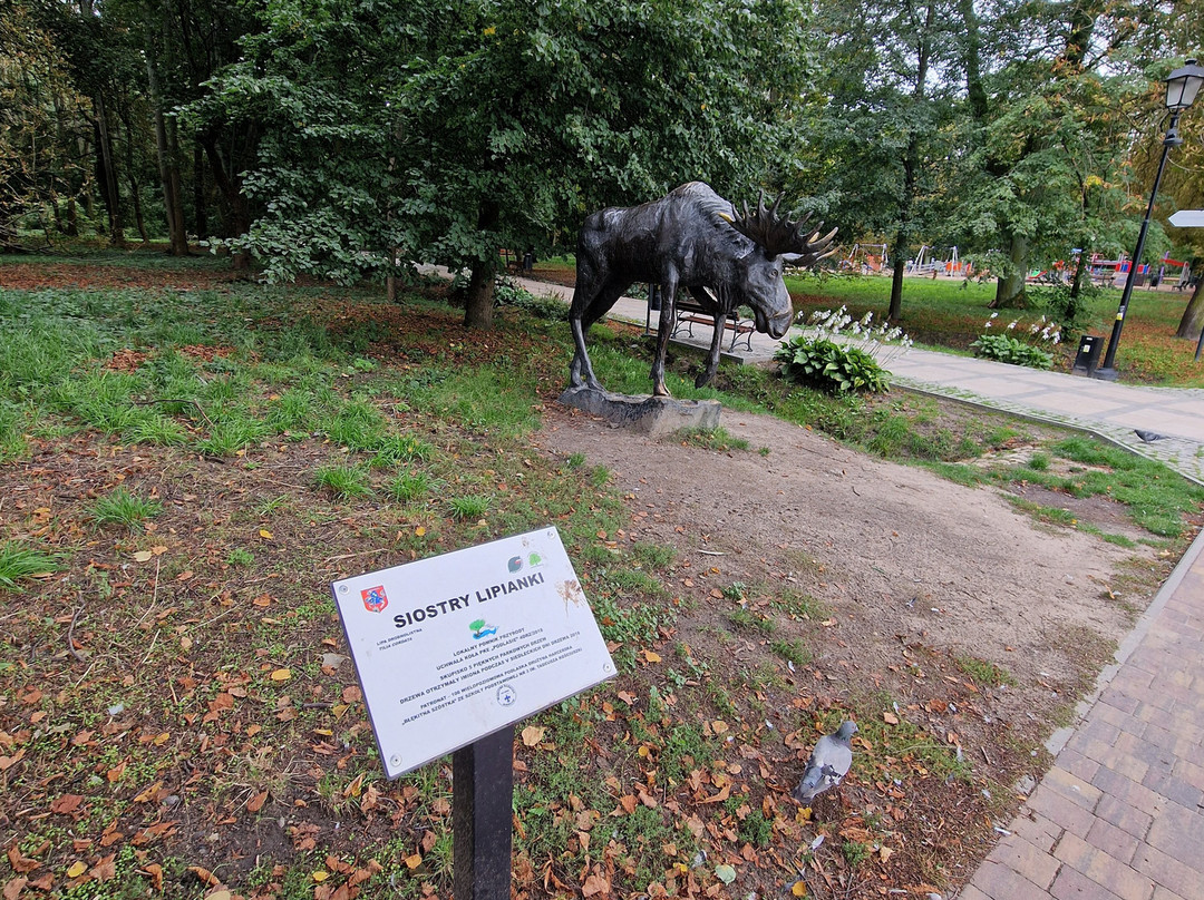 Park Miejski Aleksandria-Siedlce必去景点