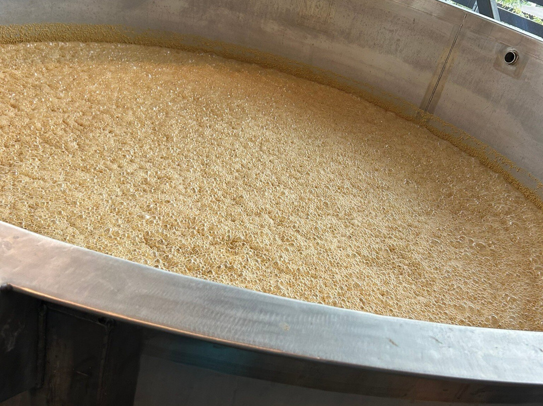 Rabbit Hole Distillery-路易斯维尔必去景点