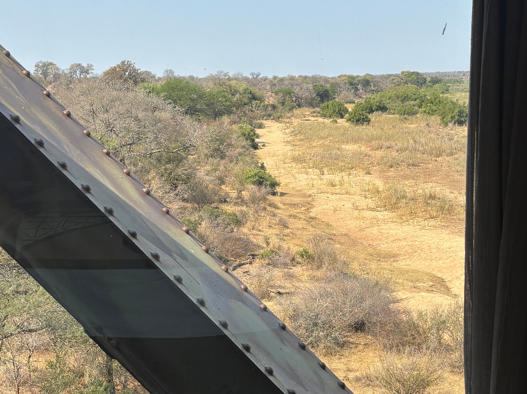 Kruger Shalati - The Train on the Bridge主图