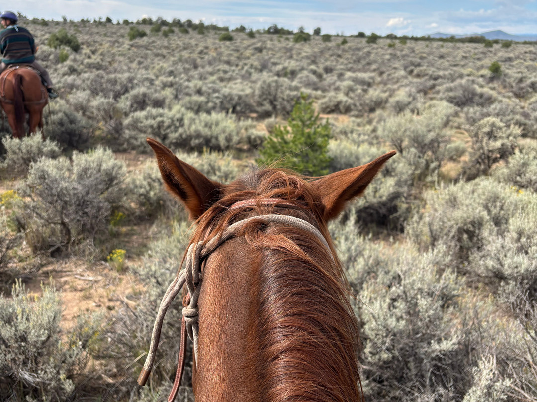Rio Grande Stables-Questa必去景点