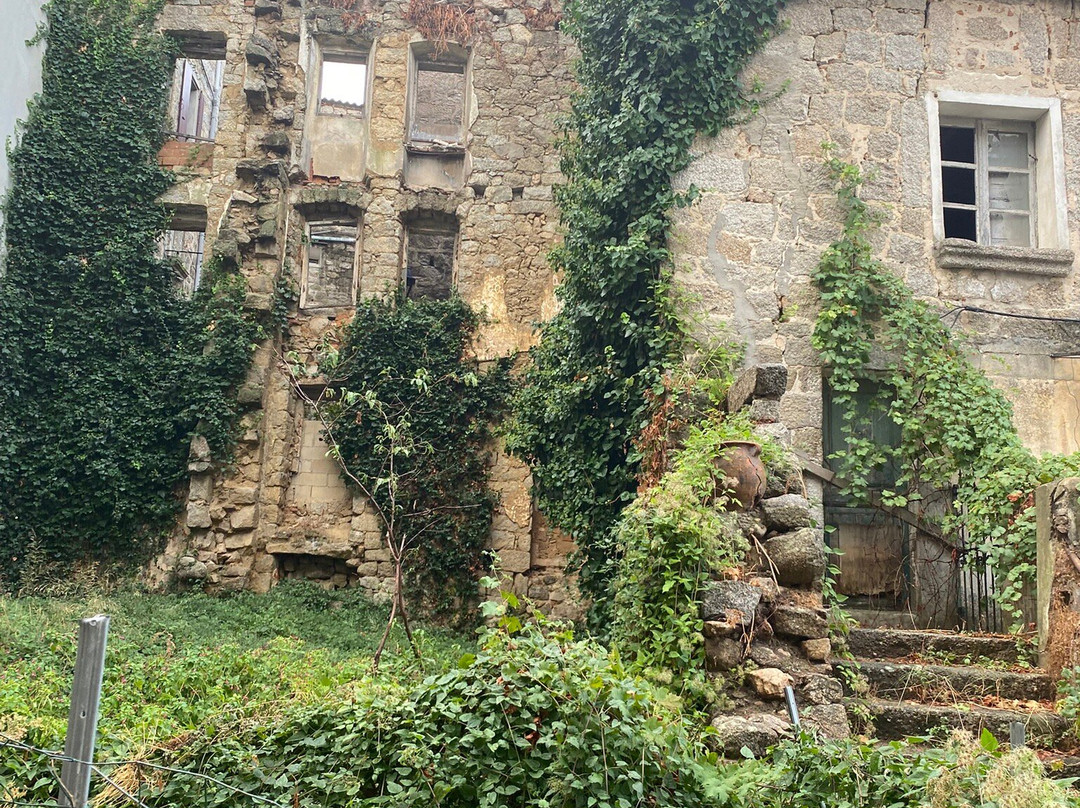 Authentic'tour Excursions-阿雅克肖必去景点