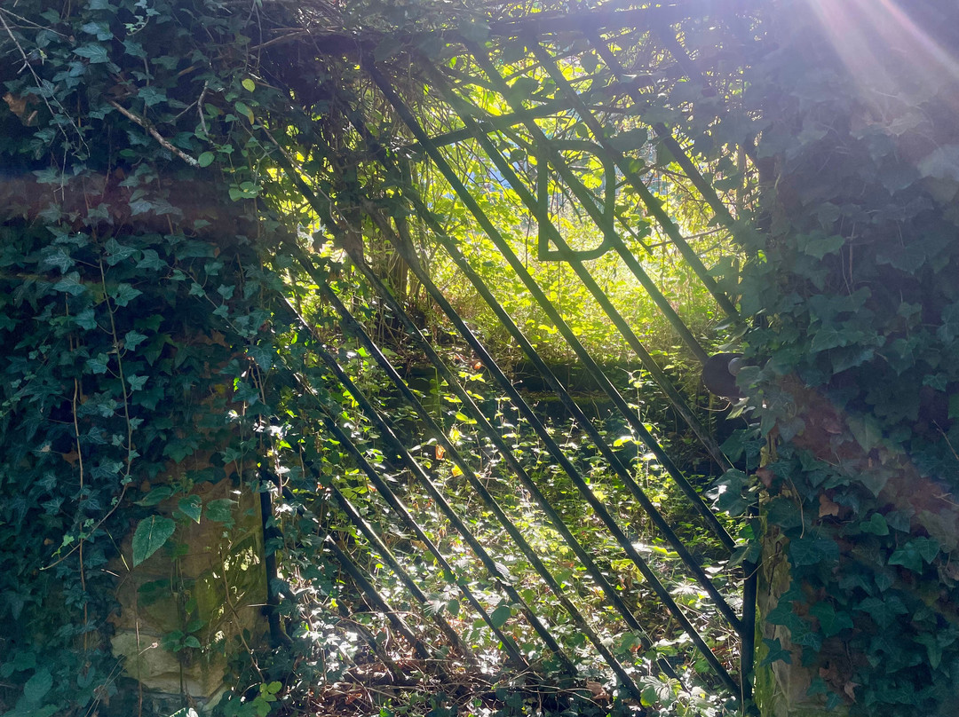 Altstadt Meisenheim-Meisenheim必去景点