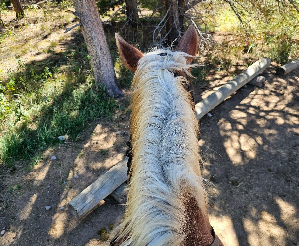 Glacier Creek Stables-落基山国家公园必去景点