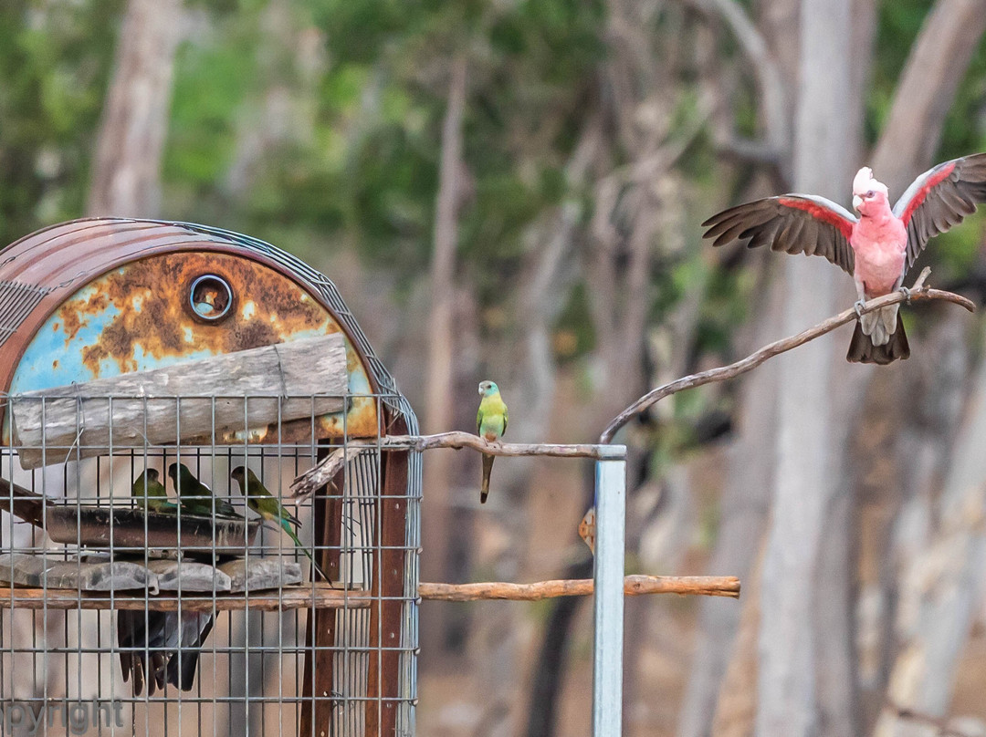 Australian Geographic Travel-悉尼必去景点