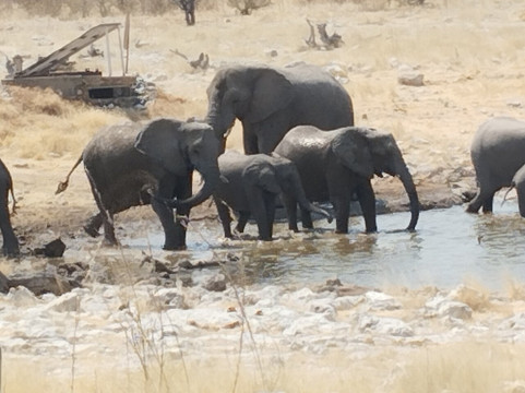 Bluecrane Safaris Namibia-温德和克必去景点