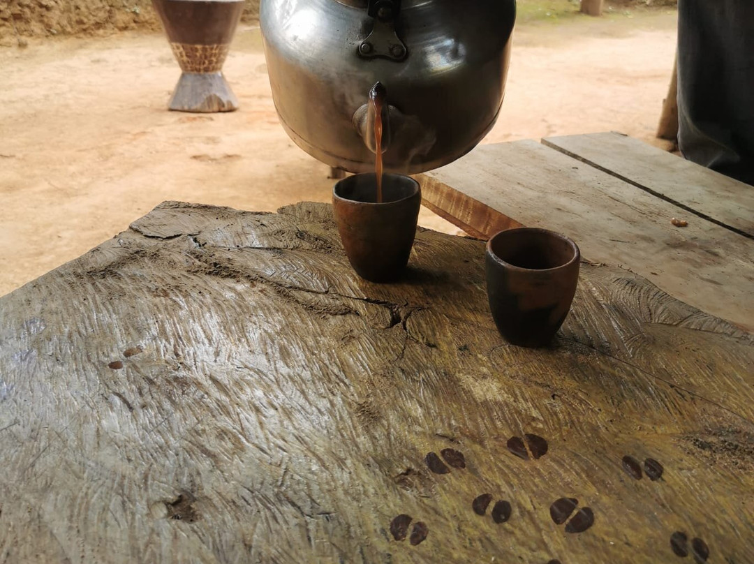 Kwamongo Expeditions-坦噶必去景点