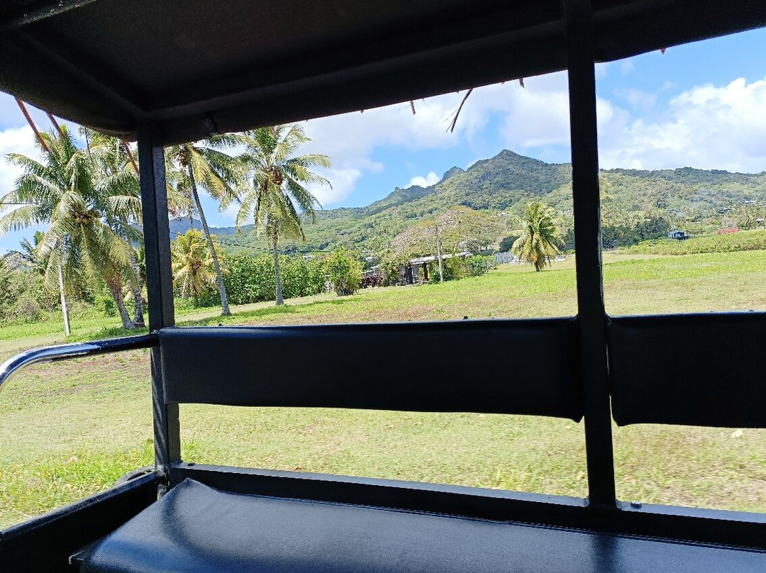 Raro Mountain Safari Tour-拉罗汤加必去景点