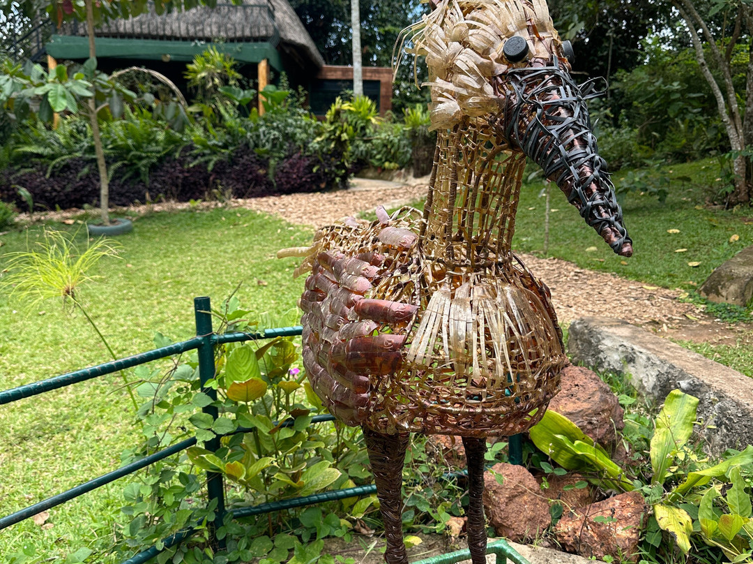 Mpanga Central Forest Reserve-恩德培必去景点