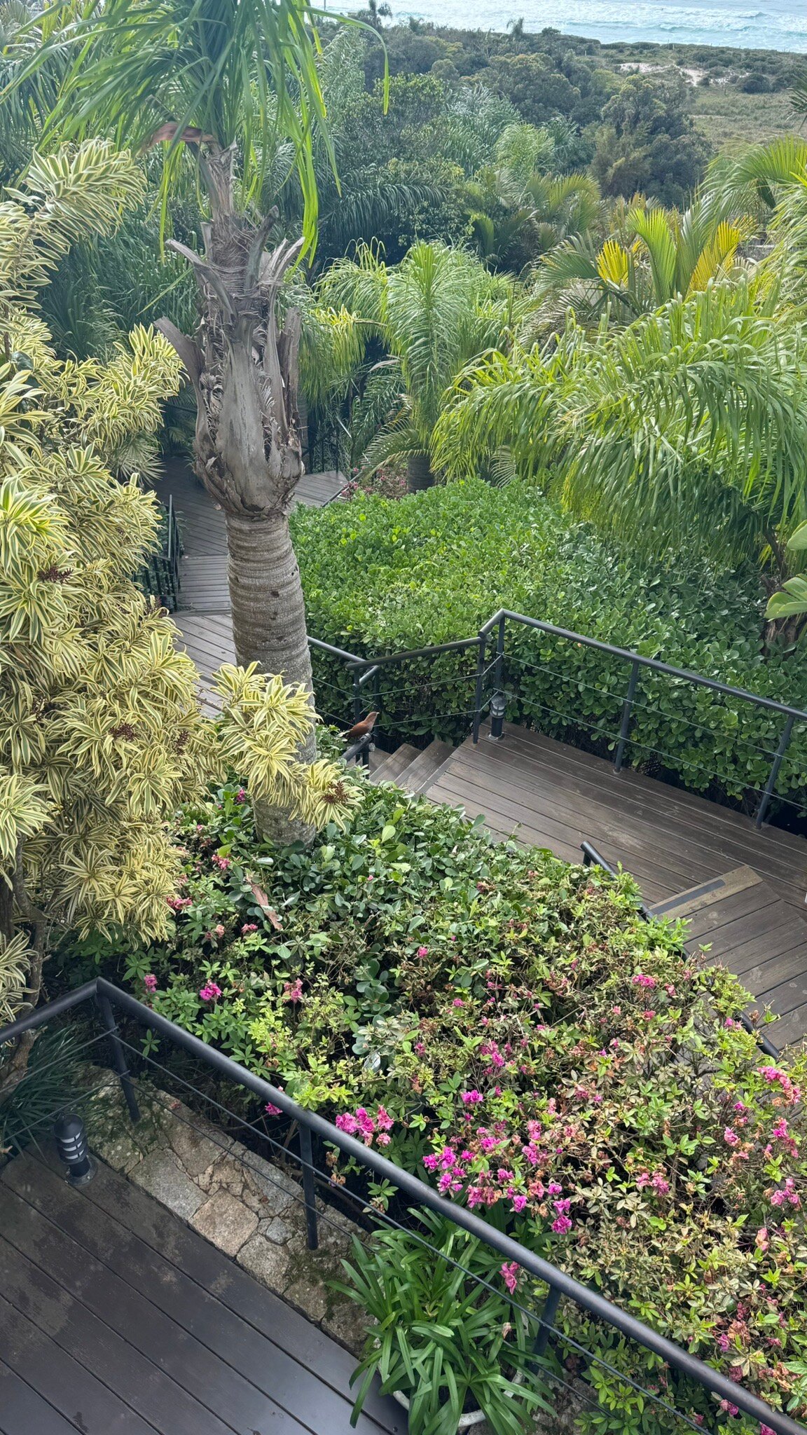 Morada Prainha-官方