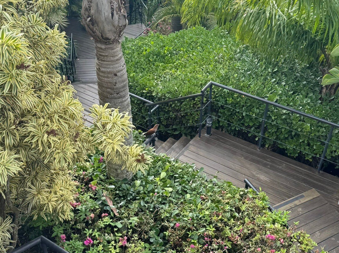 Morada Prainha主图