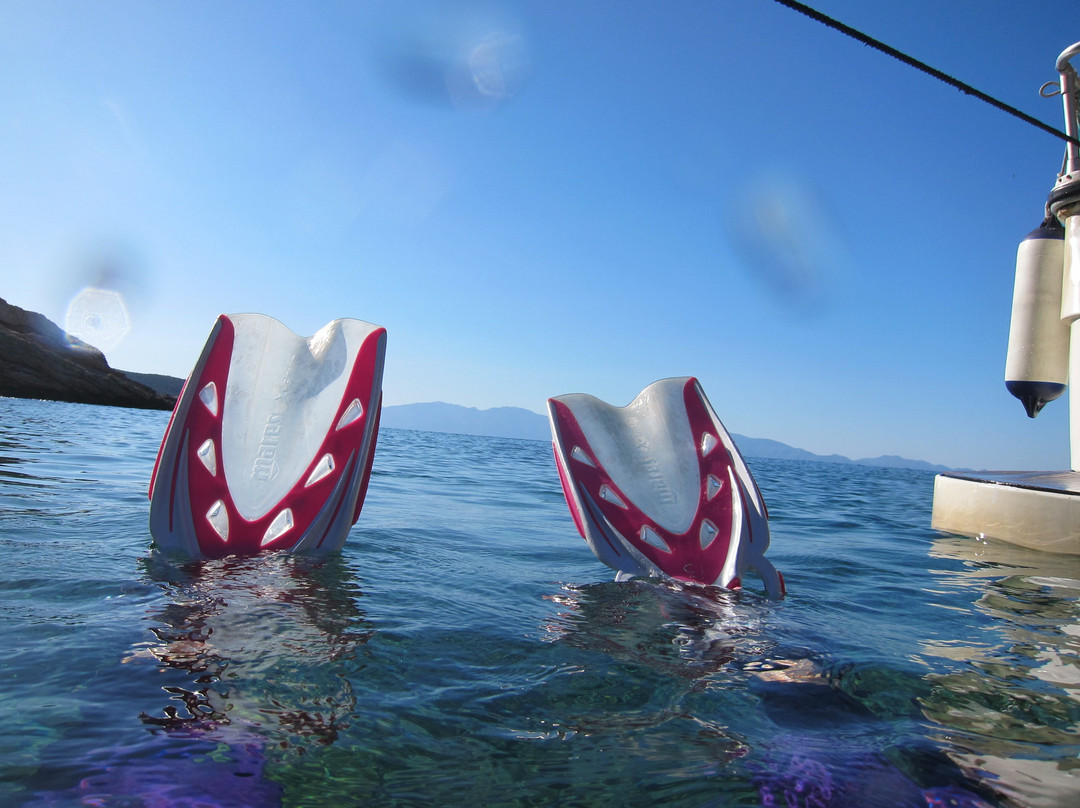 Aquapro Dive Center-Bitez必去景点