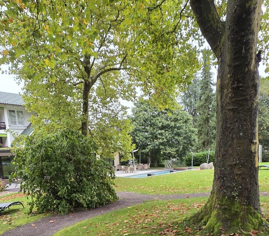 Waldhotel Grüner Baum主图