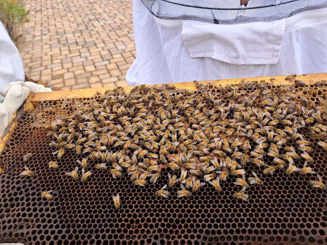 Axion Esti Apiculrture Museum-Argos必去景点