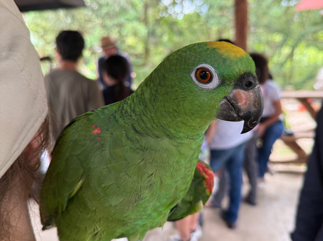 绿色家庭旅馆主图