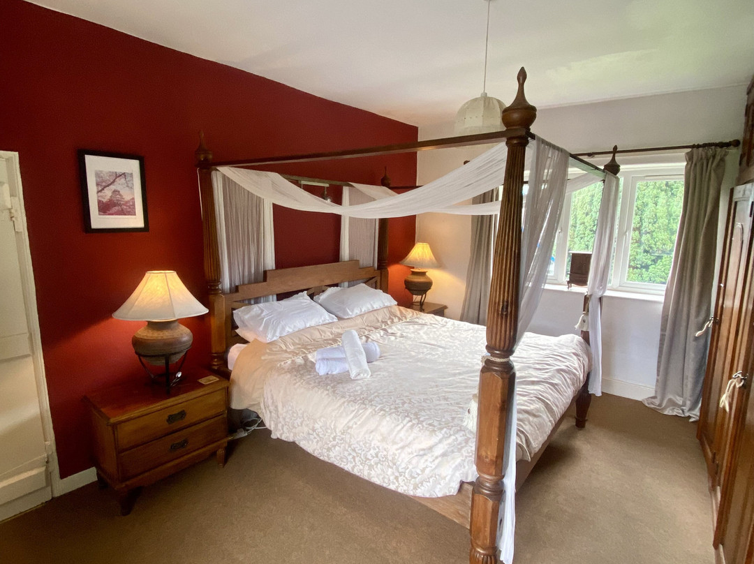 School House Bed & Breakfast主图