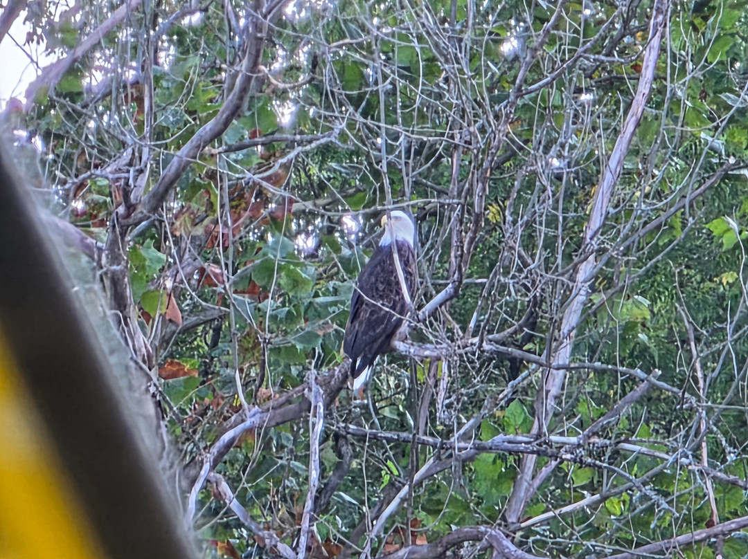 Rockin Thunder River Tours-麦迪逊必去景点