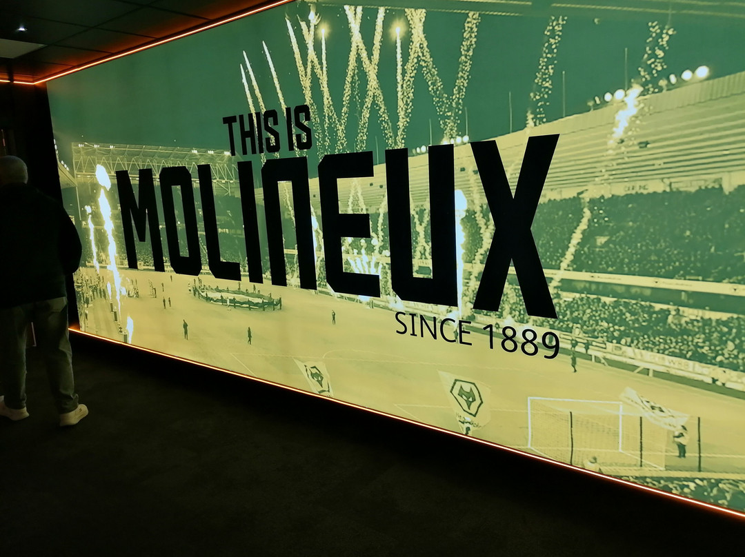 Wolves Museum & Stadium Tours-沃尔夫汉普顿必去景点