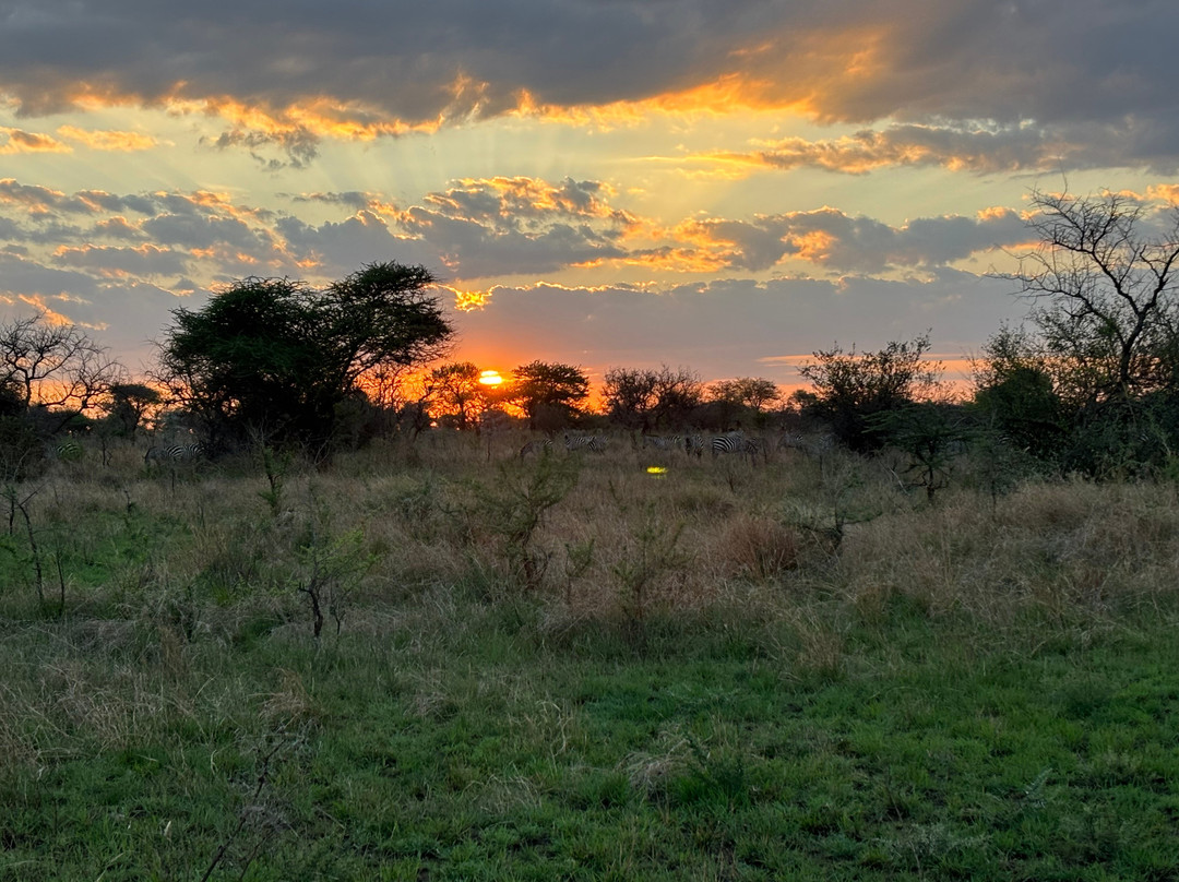 Glimpse of Africa Tented Camp-Ikoma必去景点