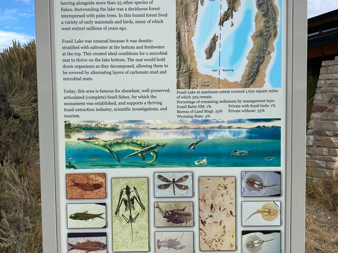 Fossil Butte National Monument-Kemmerer必去景点