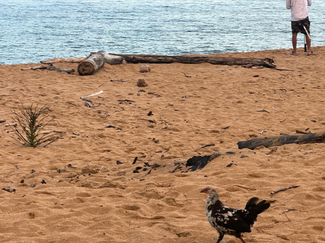 Wailua Beach-Wailua必去景点