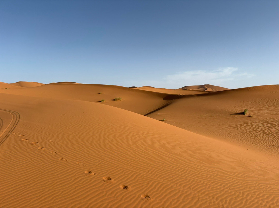 Dades Aventures - Day Tours-瓦尔扎扎特必去景点