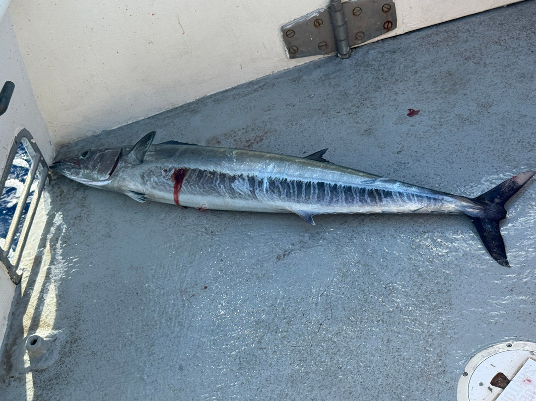 Strike Zone Sportfishing & Bottom Fishing-海库必去景点