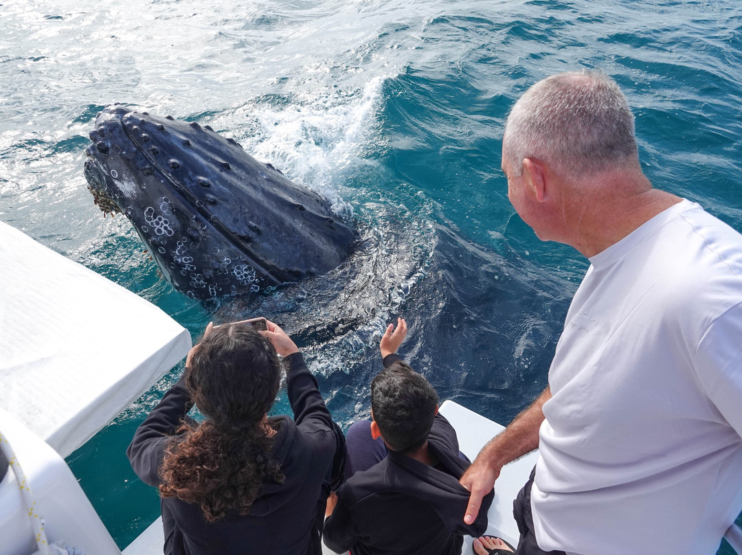 Blue Dolphin Marine Tours-尤兰根必去景点
