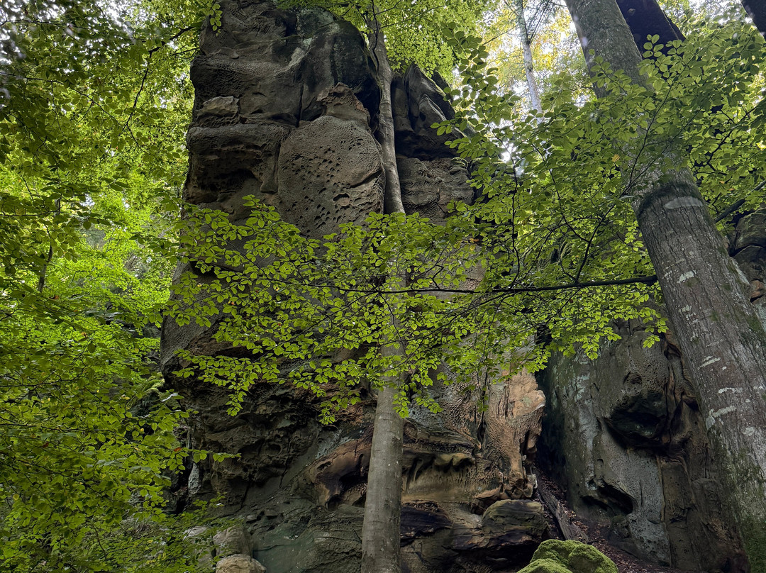Naturparkzentrum Teufelsschlucht-Ernzen必去景点
