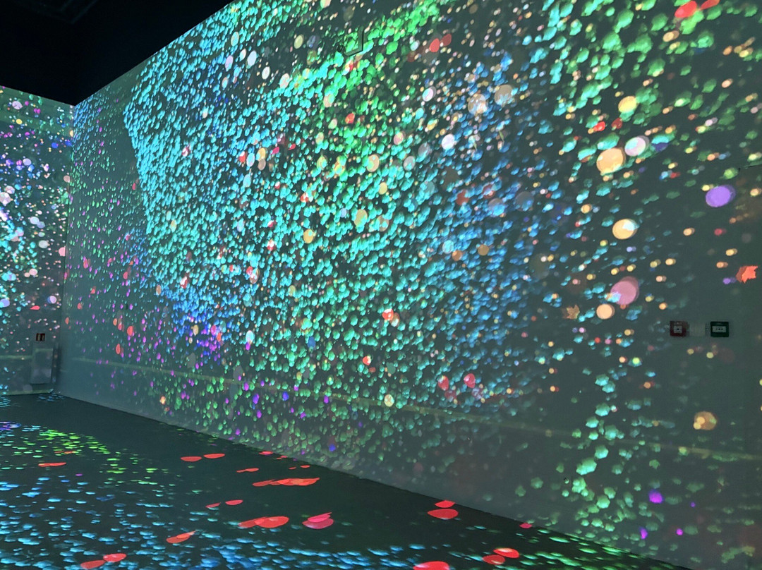 Hôtel Des Lumières-勒皮必去景点