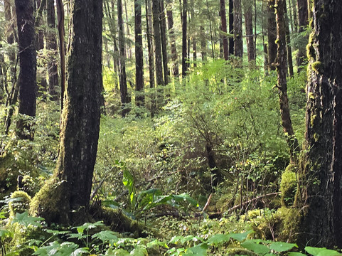 Sitka Bike & Hike-锡特卡必去景点