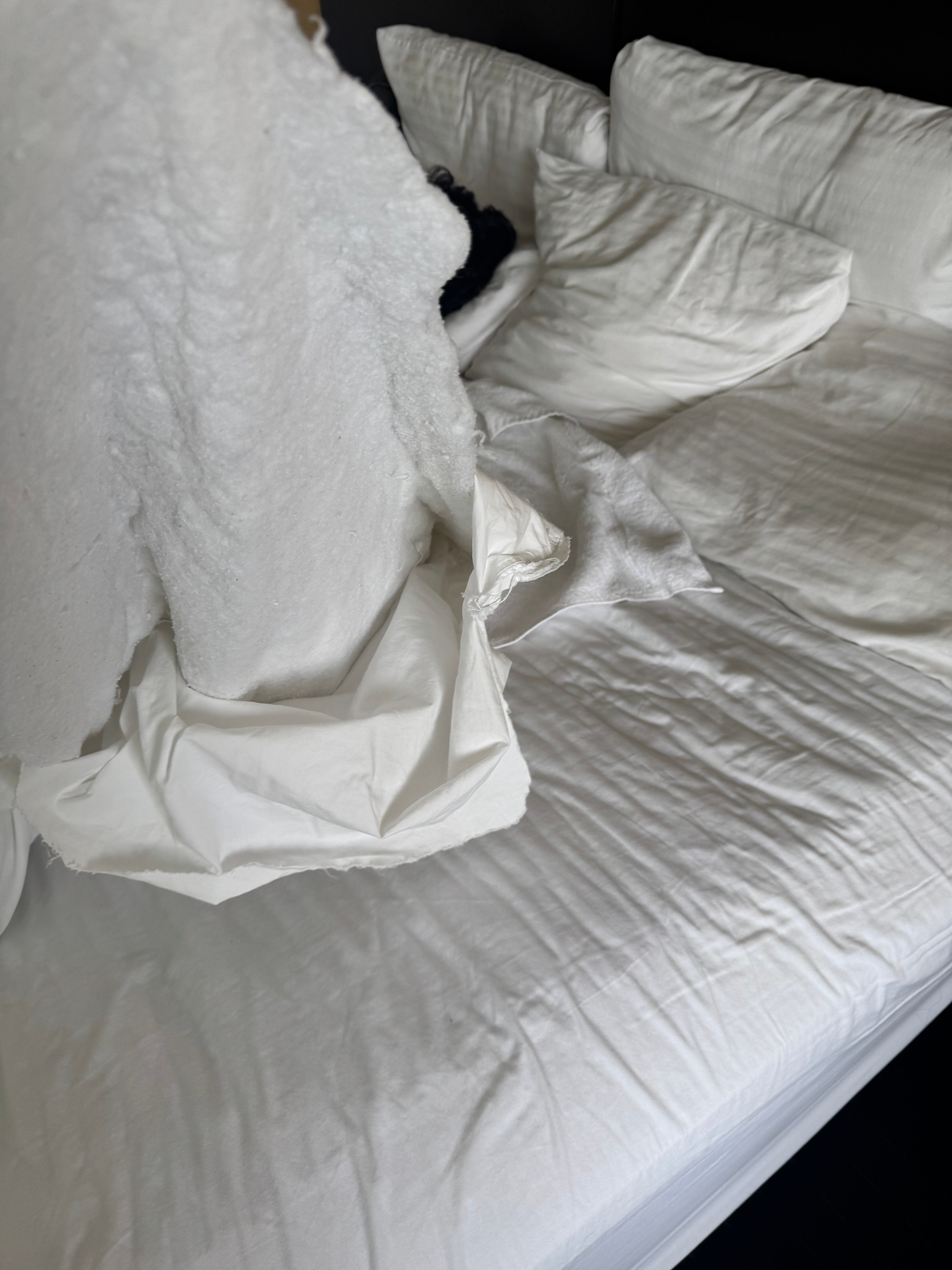 伯克利快捷假日酒店-官方