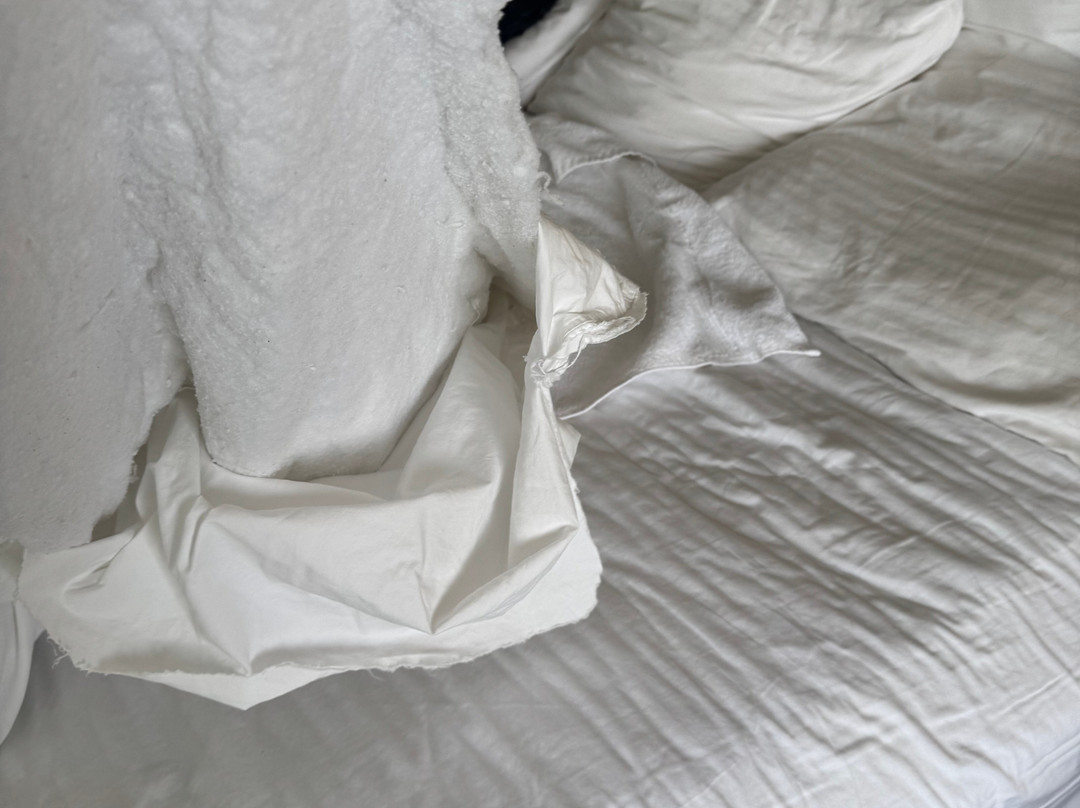 伯克利快捷假日酒店主图