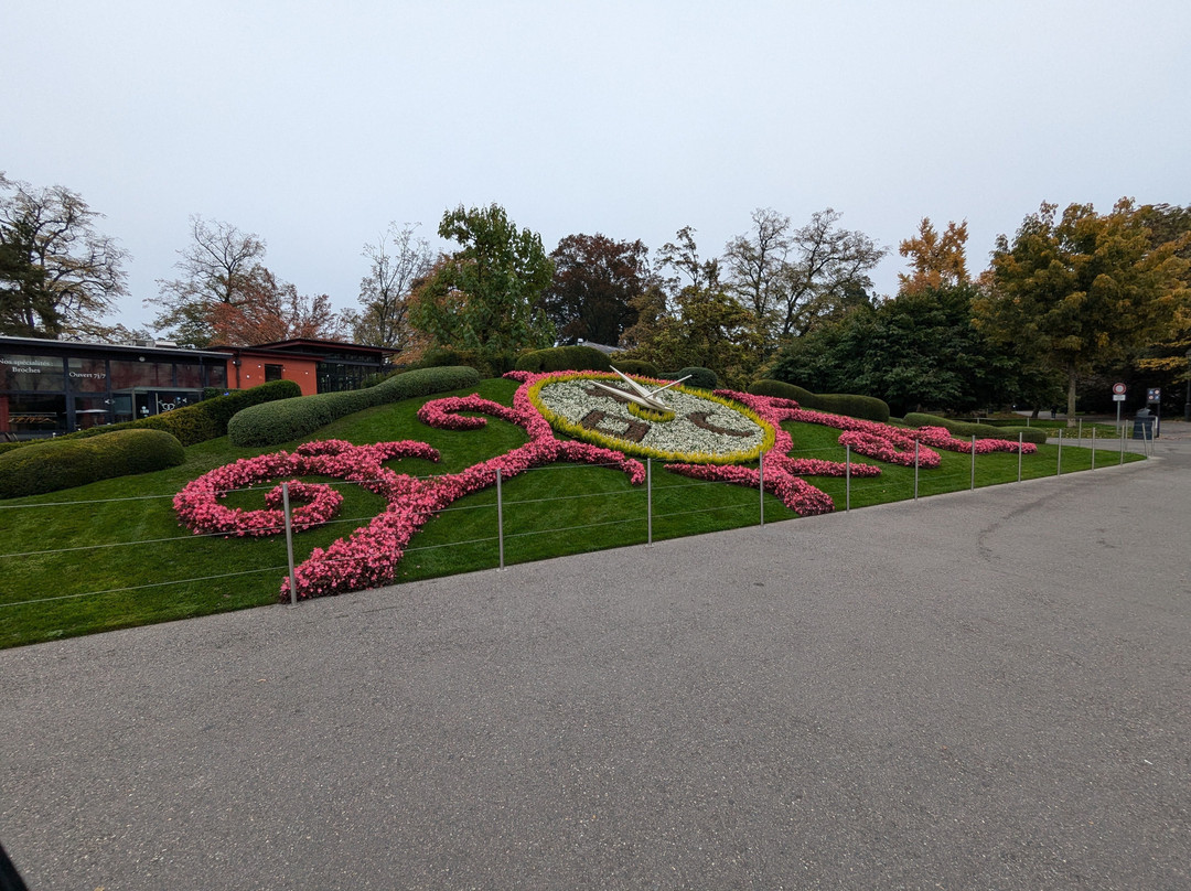The Flower Clock-日内瓦必去景点