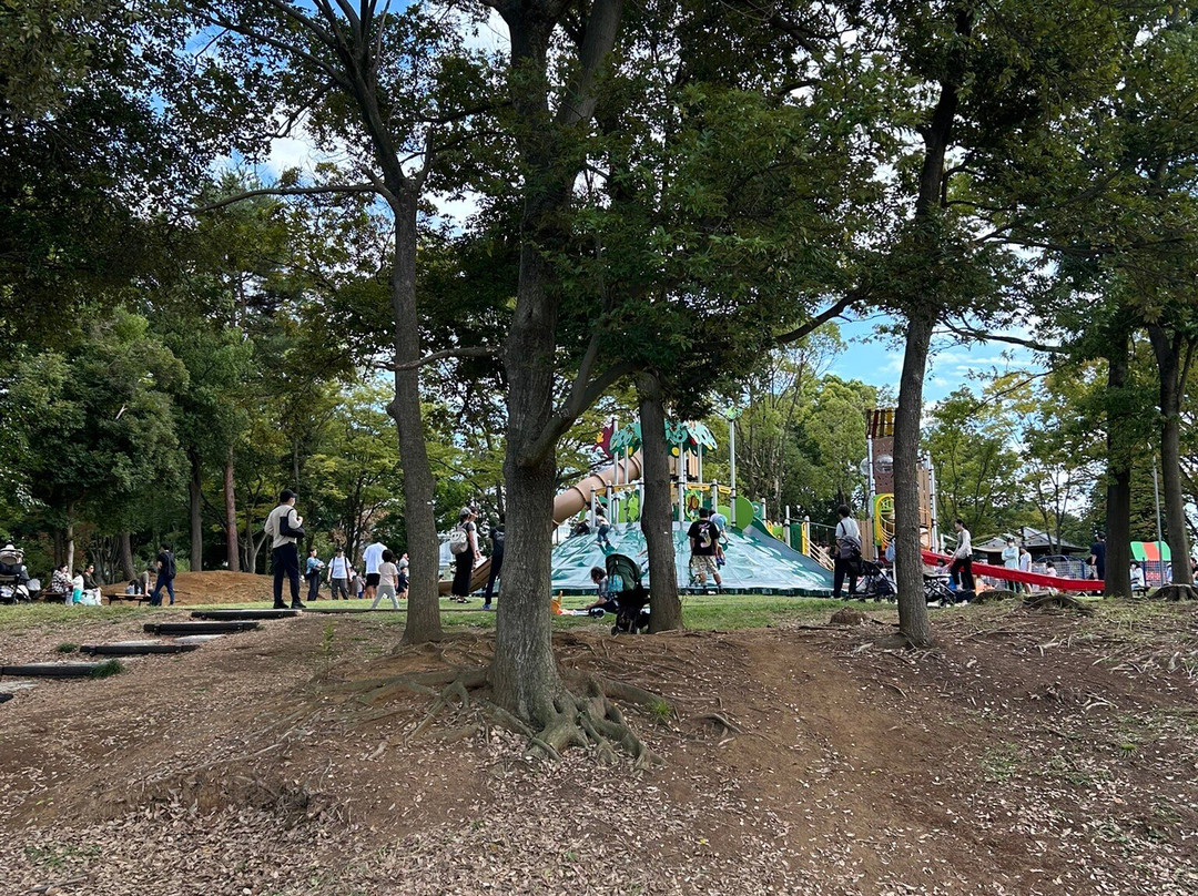 Tama Central Park-多摩市必去景点