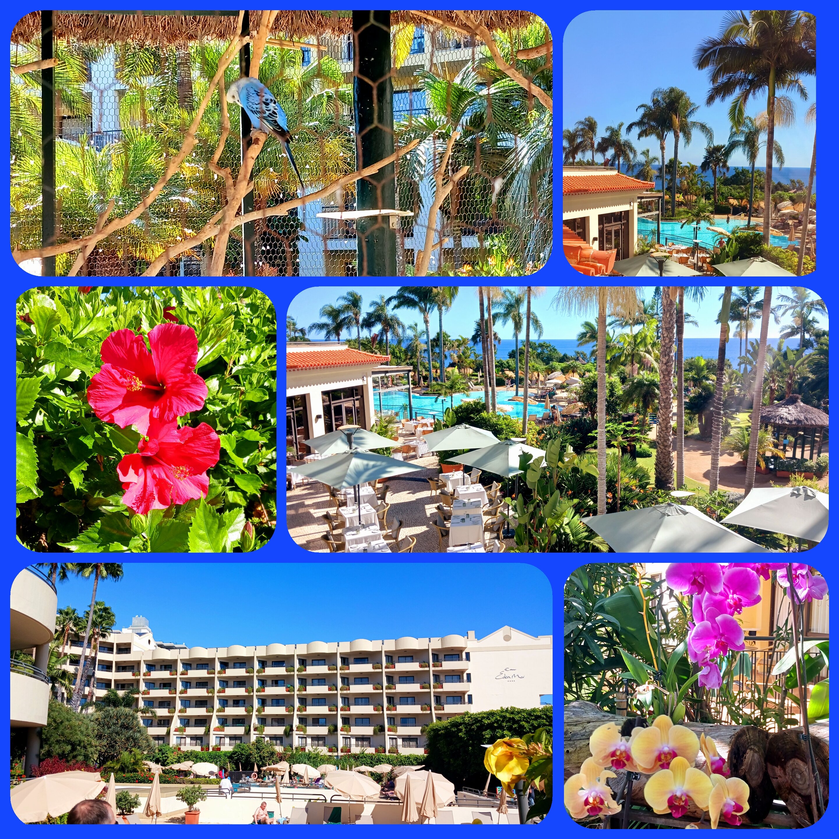 Suite Hotel Eden Mar-官方