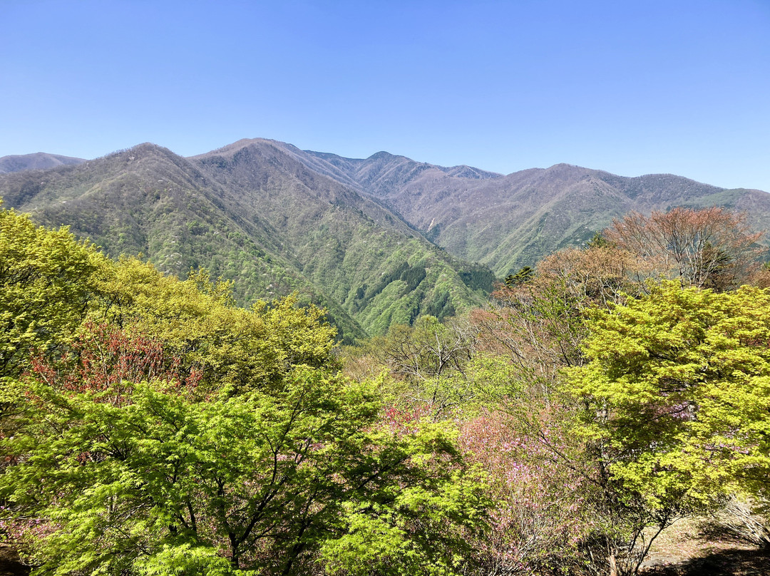 Mitsumine Shrine-秩父市必去景点