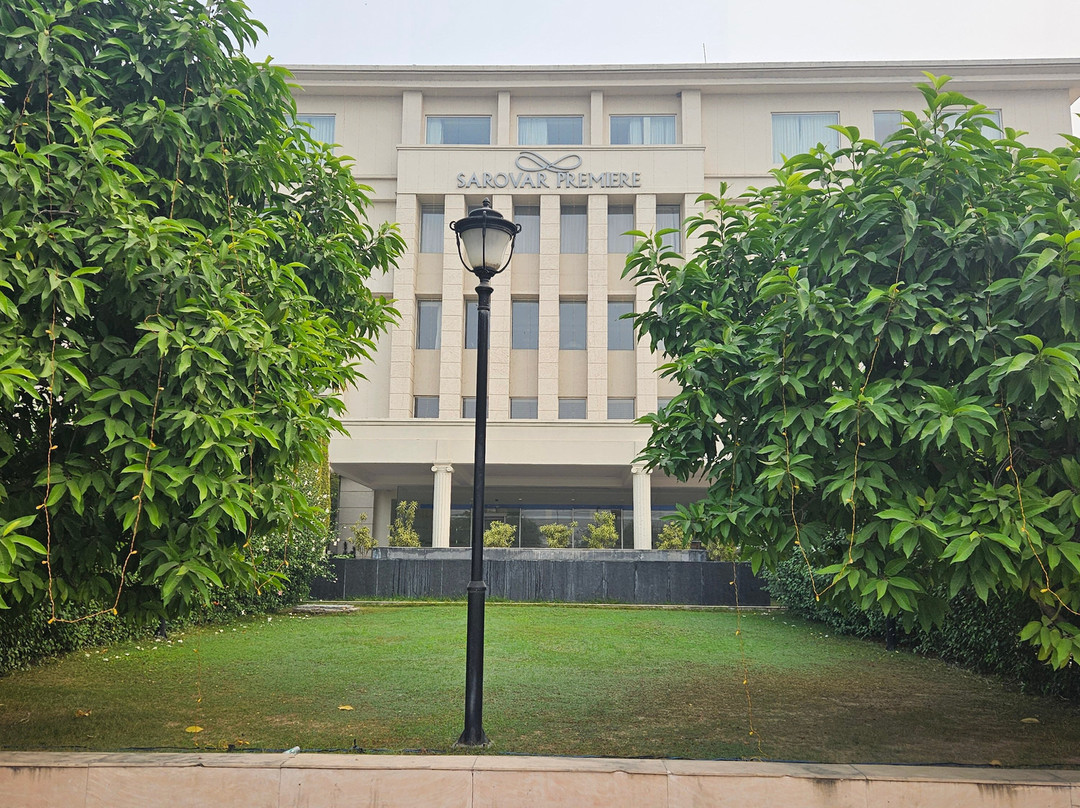 Seyfert Sarovar Premiere主图