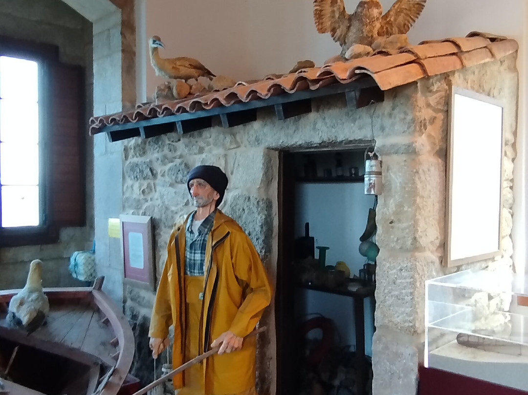 Castillo de San Carlos-福斯特拉必去景点