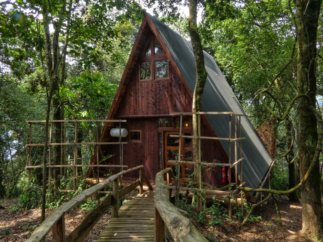 Nyungwe National Park - Rwanda-Western Province必去景点