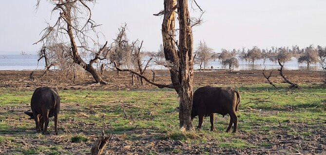 Maracuya Tours and Travels Zanzibar-乌罗阿必去景点