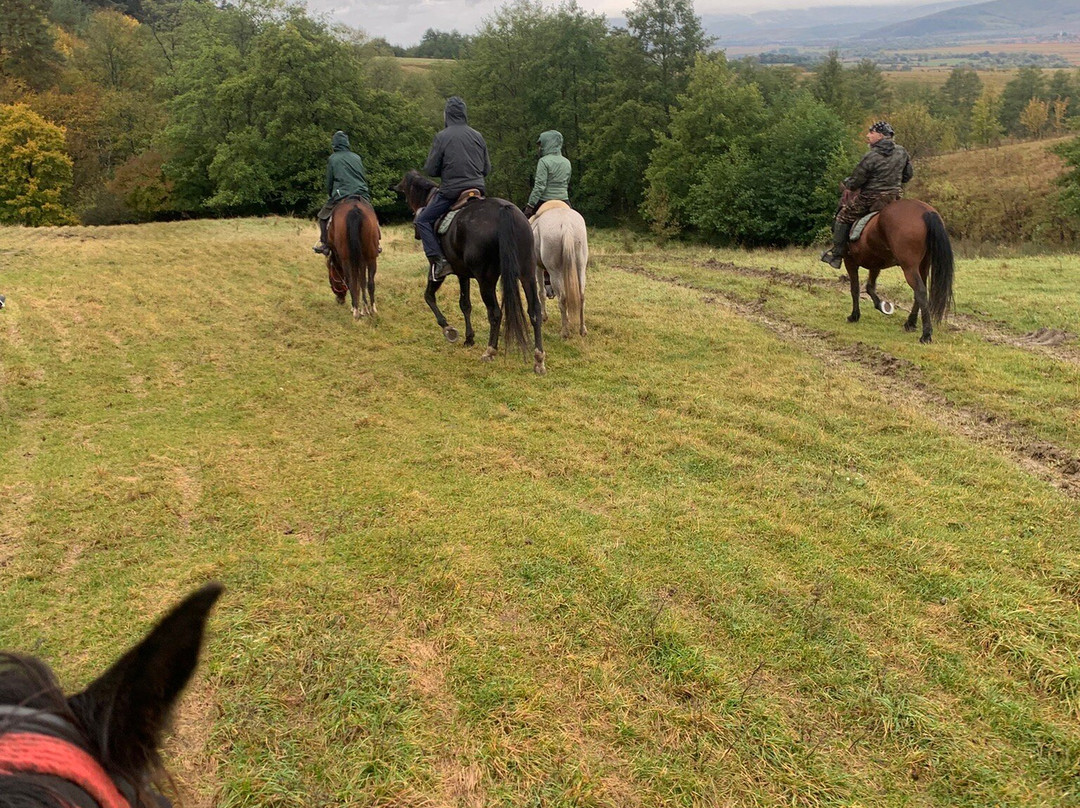 Count Kálnoky's Riding Holidays-Valea Crisului必去景点