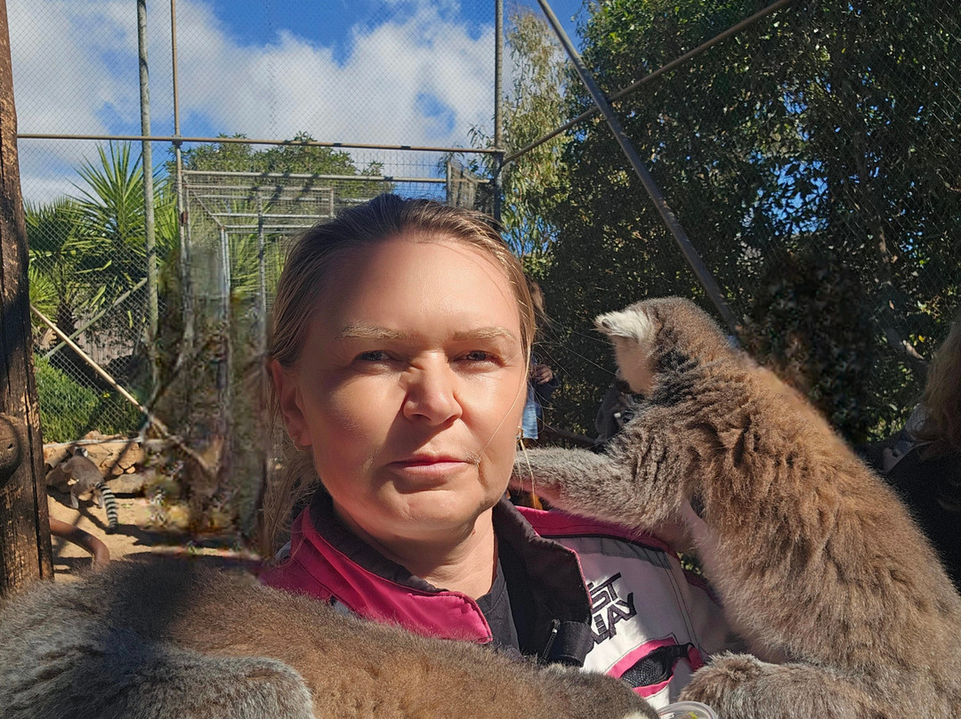 Amazonas Park-Kourounes必去景点