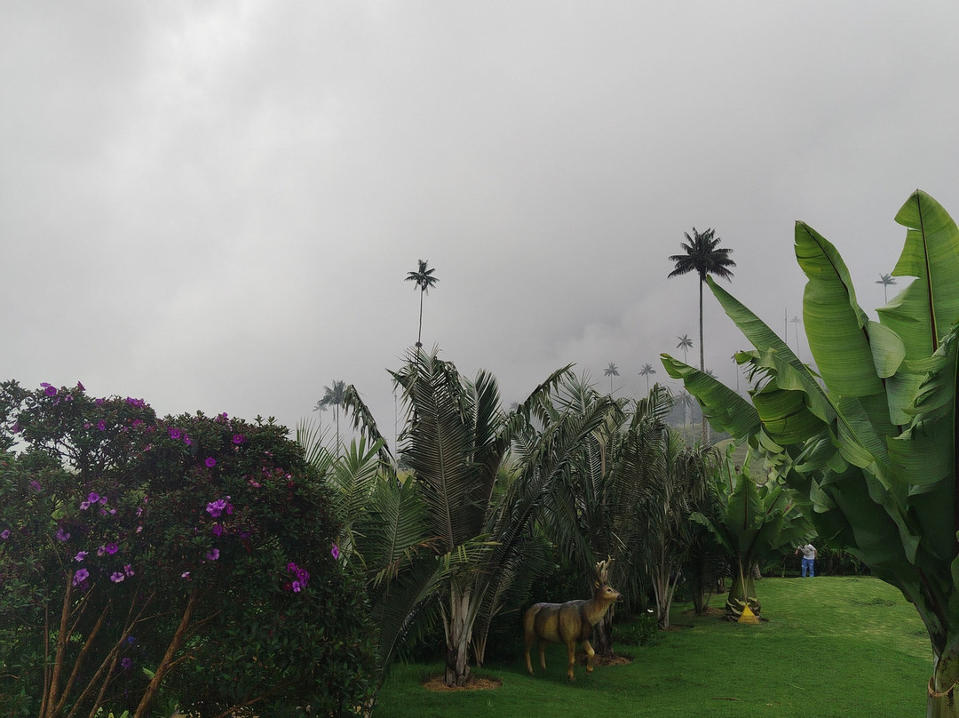 Magic Tours del Café-亚美尼亚必去景点