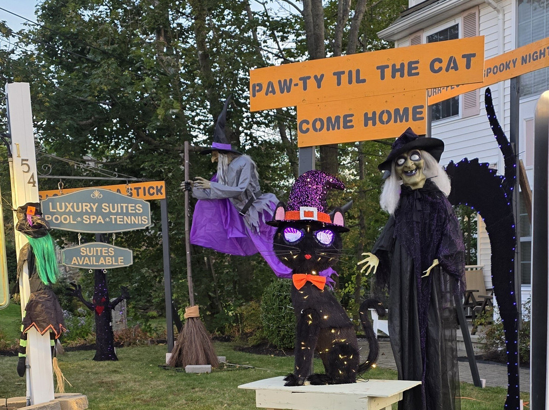 Pink Blossoms Resort主图